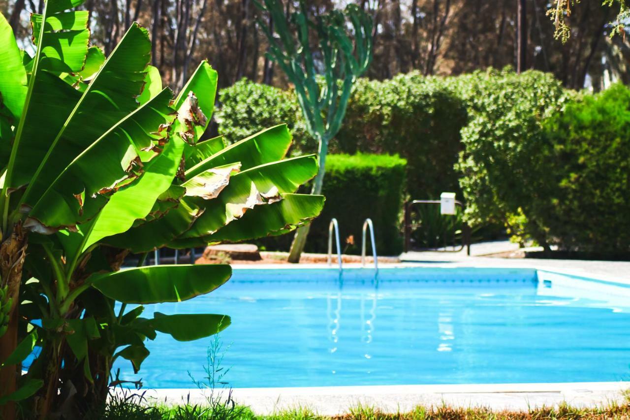 Hotel Moon-Light Studio Larnaca Zewnętrze zdjęcie